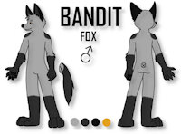 Bandit Reference Sheet by ShadowFox12 - fox, male, canine, silver fox, canid