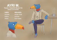 Ayri by orbitalis - male, clothed, bird, character sheet, anthro, avian, solo, chair, clothing, toucan, brown eyes, table, parrot, cup, macaw, model sheet, mug, simple background, blue feathers, hyacinth macaw, yellow beak, neotropical parrot, true parrot