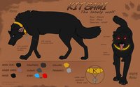 Kitsami Ref Sheet by Nyashia - wolf, male, reference sheet, collar, sheet, black wolf, kitsami