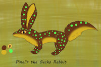 New Submission by ShamanSquirrel - cute, male, character sheet, feral, cryptid, gecko rabbit