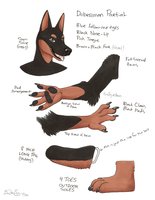 Dukes sheet by swift - dog, male, doberman, male/solo, male solo