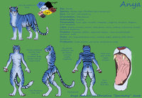 Anya 2012 by SpartaDog - female, reference sheet, tiger, ref, fursona, ref sheet, reference, maltese tiger, south chinese tiger, alt sona, alt fursona, alternative fursona