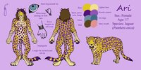 Ari Reference Sheet by SpartaDog - female, reference sheet, jaguar, ref, fursona, reference, ari, assistedrealityinterface