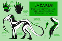 Lazarus Reference 2012 by SpartaDog - reference sheet, alien, herm, hermaphrodite, ref, ref sheet, reference, intersexed male