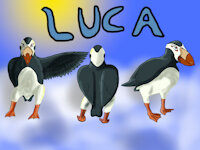 LUKA ref by LowestPolygon - female, bird, androgynous, avian, ref sheet, refsheet, puffin, referencesheet