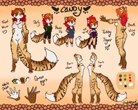 Candy's Ref Sheet by candykittycat - female, tabby tiger