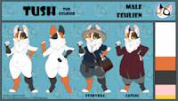 C - Tush Ref Sheet by tanithjackal - small, cat, feline, male, reference sheet, chubby, character sheet, furry, mammal, male/solo, chubby fur, fehlien