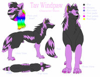 Tav Windpaw Character Sheet by TavWindpaw - wolf, male, purple, feral, tav windpaw