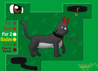 Kurobi reference 2012 by Nekori - cat, male, black, reference