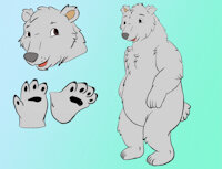 Carlos the Polar Bear by AniCrossBear - male, reference sheet, polar bear, ursine