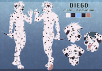 Diego Reference by LakotaLander - dog, male, reference sheet, canine, spots, and, dalmatian, ref sheet, reference, headshot, refsheet, beanie, headshots, ref-sheet, male/solo, male solo