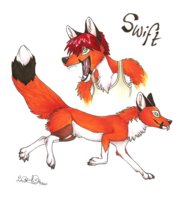 Swift's sheet  by swift - fox, male, feral, red hair, tank top, tanktop, redhair