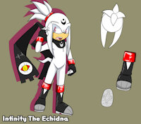 Infinity The Echidna by HeroKichona - male, character sheet, character, echidna, infinity, sonic oc, infinity the echidna