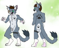 Gray by Furryluv19 - nude, cat, male, reference sheet