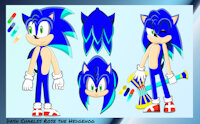 Dash Biography by DashRoseTH - male, hedgehog, sonic, sonic fan character, biography, sonic oc, dash the hedgehog