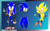 Sonic Biography by DashRoseTH - male, hedgehog, sonic, sonic the hedgehog, biography, sonic team