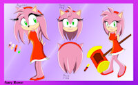 Amy Rose Biography by DashRoseTH - female, hedgehog, amy rose, biography