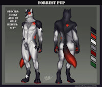 [CM] Forrest Pup by Millle - husky, wolf, male, sheet, nsfw, reference, millle