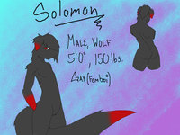 solomon older version ref sheet by zeroSilver - wolf, male, femboi, ref