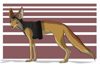 Hasirbaan - Character Sheet by Varwulf - fox, male, feral, ruppell's fox, hasirbaan