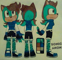 Emily the Hedgehog by SonicAnon - female, hedgehog, sonic, sonic the hedgehog, sonic oc
