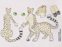 Chakat Jack sfw by Cheetahmikey - cute, cat, chakat, herm, spots, hermaphrodite, taur, furry, cheetah, cattaur