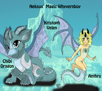 Chara Sheet for NeksusCat by SAOxStreety - dragon, male, wyvern, sheet, requests