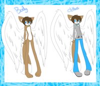 Kevin Ref by SevereBalance - fox, male, sheet, sonic, ref, angel, fancharacter