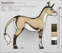Reference - Equustra (Non-Morphic) by Unicorn - female, horse, equine, mare, unicorn, equustra, nonanthro, animal, refsheet, alloequus