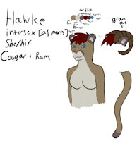 Hawke ref by SomeSortaCreature - ram, female, cougar, mountain lion, intersex female