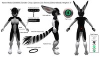 SL Reference Sheet by Minkoi - hybrid, reference sheet, fennec, feminine, black, white, exotic, striped, pg, c-boy, zox, zeox