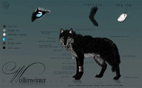 Charactersheet Shalimar by wolfenwinter - dog, wolf, reference sheet, wolfess, spots, spotted, tag, ref sheet, reference, refsheet, female/solo, female solo