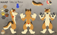 Cody Mathews Ref SFW by codyf0xx - fox, male, anthro, art, furry, anthropomorphic, refsheet, digitalart, furryart, 2021, furryfandom, codymathews