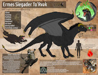 Ermes Siegader To'Rvak - Reference sheet by FuriarossaAndMimma - dragon, original, herm, hermaphrodite, sheet, oc, reference, dark dragon, charatcer, ermes, siegader, torvak, thewayoflegends