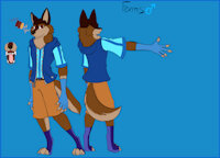 Fenris Fursona by Fenris0604 - wolf, male, socks, shorts, canine, character sheet, clothes, hoodie, mouth