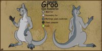 Groo reference - Natural fur by GrooDeeAussieroo - male, reference sheet, kangaroo, roo, reference, eastern grey kangaroo