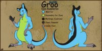 Groo reference - Dyed fur V1 by GrooDeeAussieroo - male, reference sheet, kangaroo, roo, reference, eastern grey kangaroo