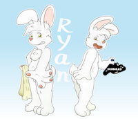 [R] Ryan by Hoya82 - male, rabbit, teenager, character sheet, solo