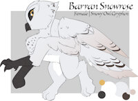 Barran Snowrose Reference by EnderFloofs - female, paw, gryphon, paws, feather, feathers, owl, talon, gryphoness, snowy owl