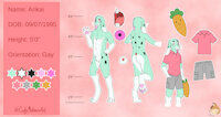 Arikai refsheet by codyf0xx - bunny, male, carrot, plushie, refsheet