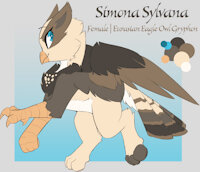 Simona Sylvana Reference by EnderFloofs - female, hybrid, paw, gryphon, paws, owl, reference, talon