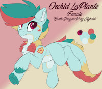 Orchid LaPlante Reference by EnderFloofs - dragon, female, hybrid, reference sheet, pony, reference, earth pony, derg