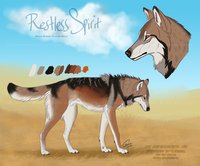 Restless Spirit - Reference by LostWolfSpirit - wolf, male, reference sheet, canine, character sheet, feral, model, spirit, ref, canid, reference, quad, quadruped, arachnid, plains, great, model sheet, lostwolfspirit, minnowfish, restless, great plains, great plains wolf, restless spirit