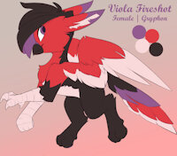 Viola Fireshot Reference by EnderFloofs - female, reference sheet, gryphon, reference, gryphoness