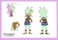 Peppermint the Hedgehog - Reference by Exidel - female, reference sheet, hedgehog, mobian, sonic oc, peppermint the hedgehog