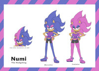 Numi The Hedgehog - Reference by Exidel - reference sheet, hedgehog, mobian, gender shifting, sonic oc, gender fluid, nonbinary, nonconforming, numi the hedgehog