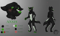 Axsis Sheet by Dragonoid64 - dragon, wolf, canid, cuntboy, scalie, refference, cboy, reff sheet