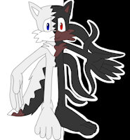 Conflict the Arctic Wolf by Fansofan - cub, shota, wolf, male, gay, homosexual, canine, feet, paws, young, arctic, sonic, black and white, oc, conflict, parasite, shotacon, underage, arctic wolf, feetpaws, mobian, original character, fan character, sonic fan character, yin yang, feet fetish, young boy