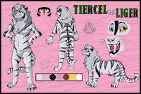 Tiercel liger ref by jesslyra - male, white, liger