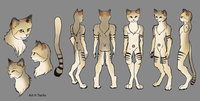 Suit Design  by Techs15 - cat, sand